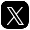 公式X